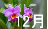 81